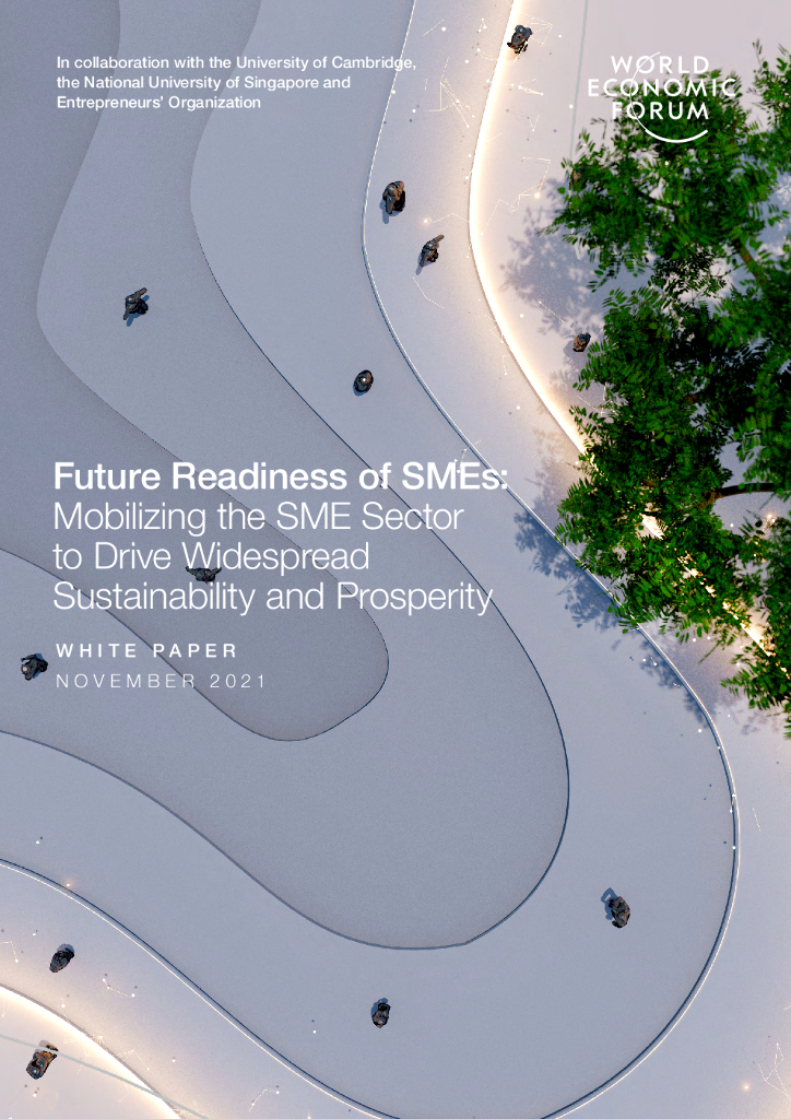 世界经济论坛:中小企业正积极适应瞬息万变的经济形势(英文版)