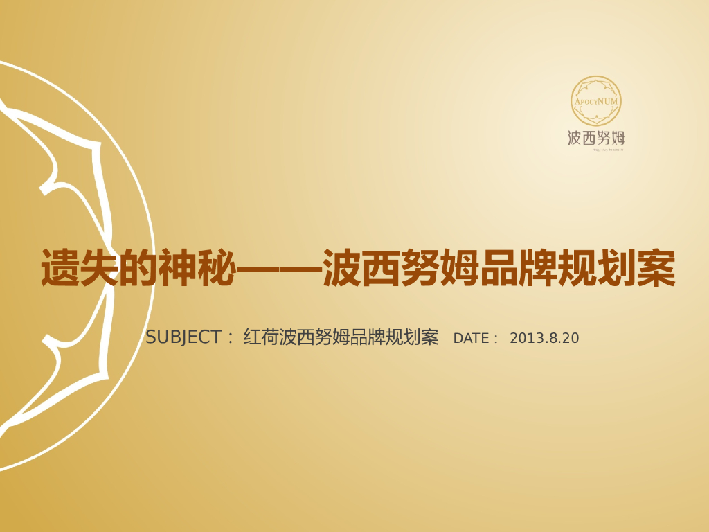 波西努姆:品牌规划案提案版