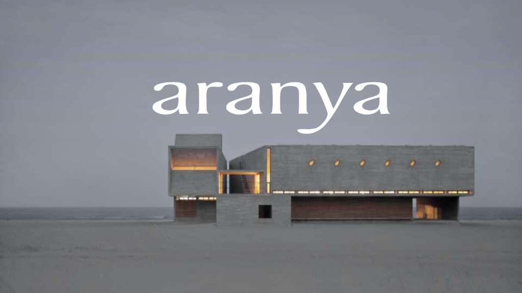 阿那亚:关于社区营造、社群和小镇