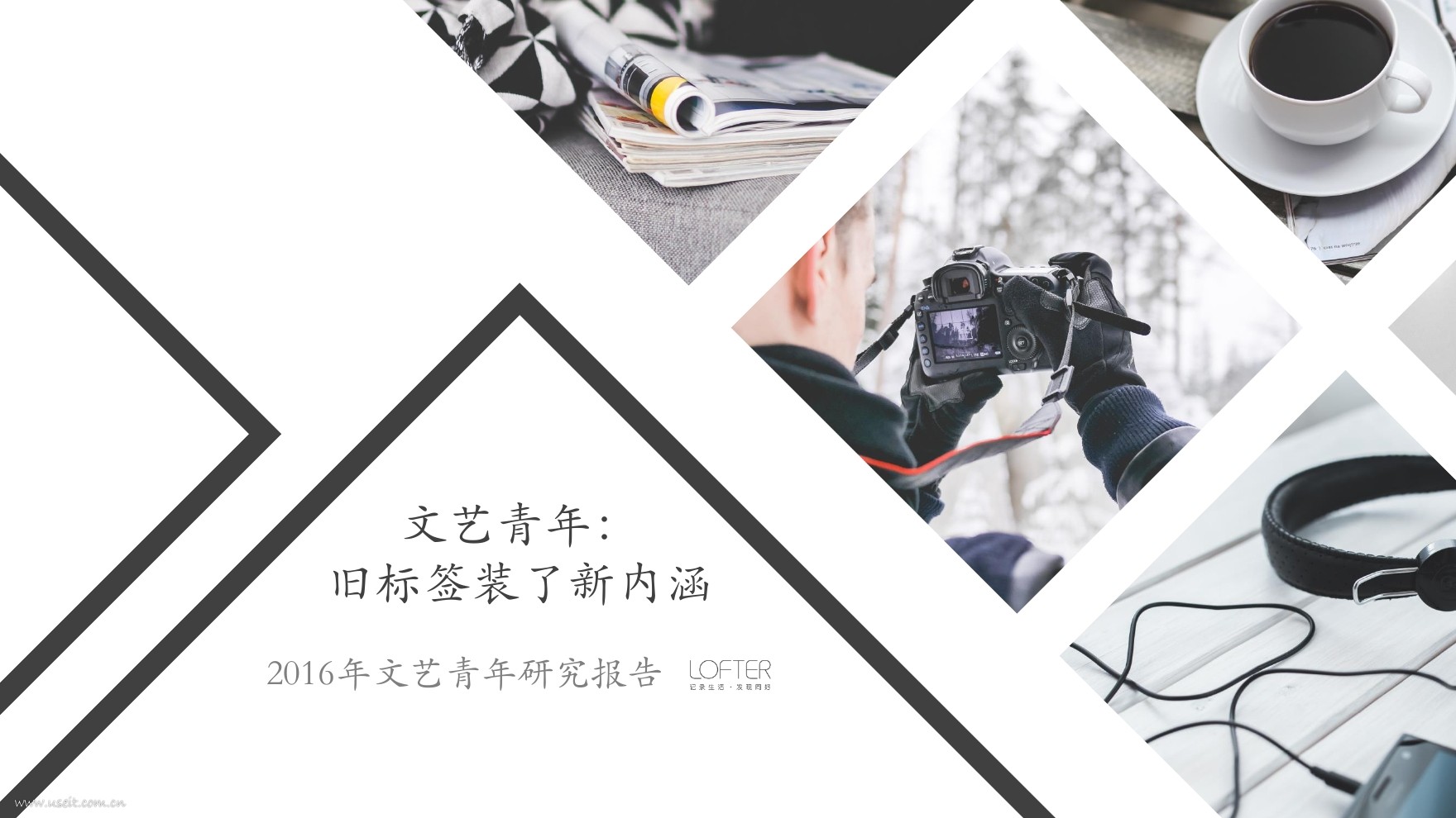 LOFTER:2016文艺青年研究报告