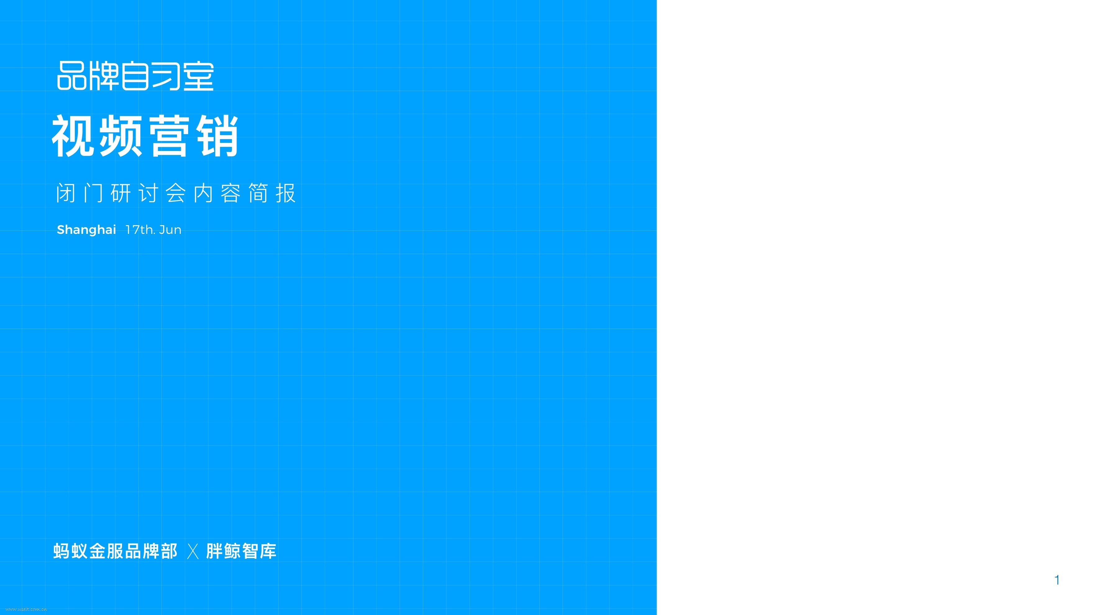 胖鲸智库&蚂蚁金服：品牌自习室：视频营销闭门研讨会内容简报