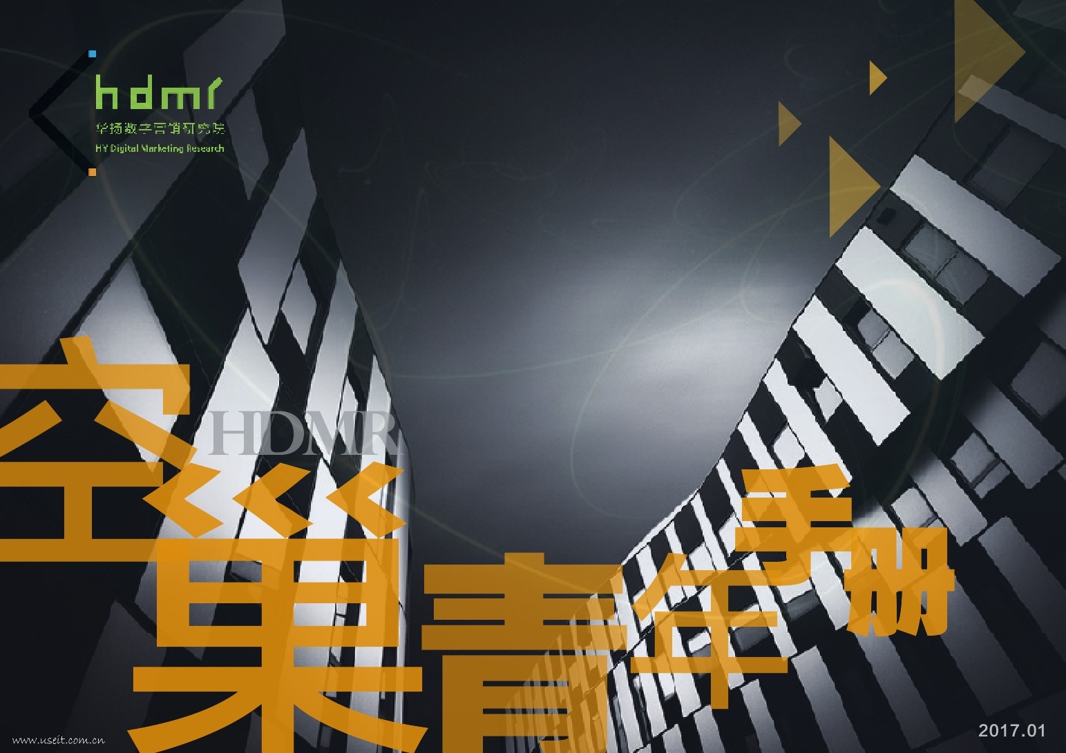 华扬数字营销研究院：2017空巢青年手册