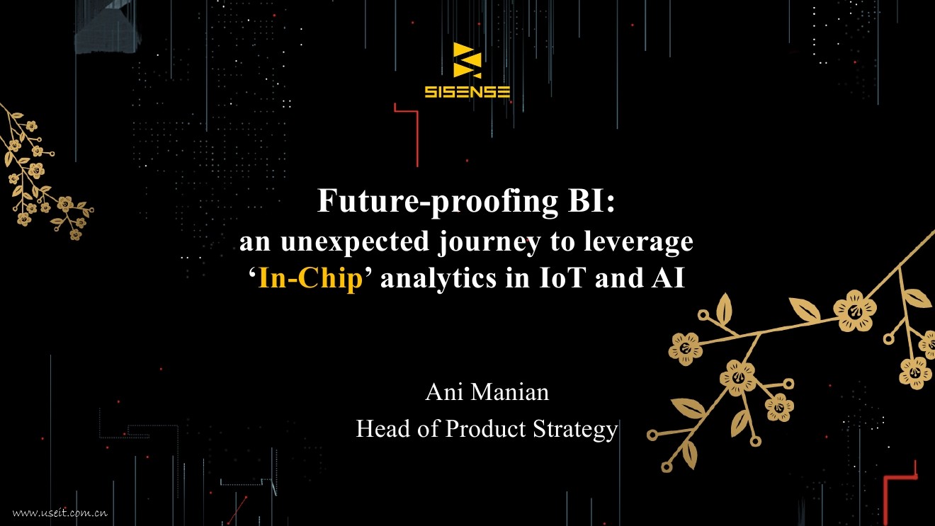 Ani Manian：物联网和人工智能领域内置芯片分析的意外之旅