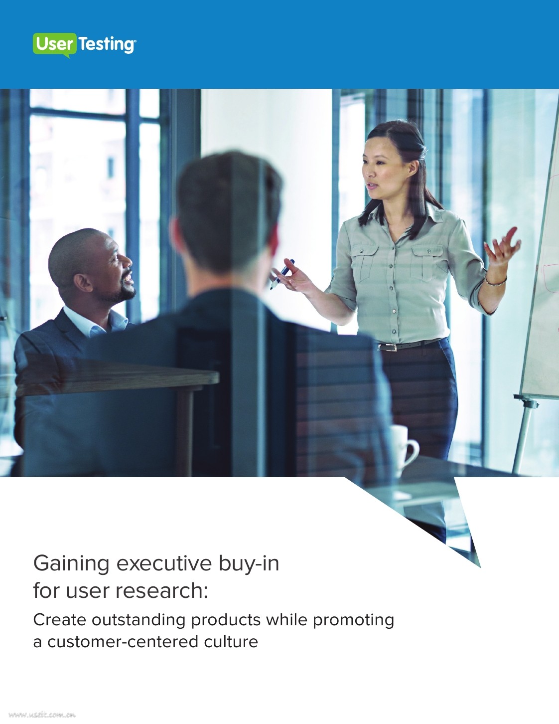 UserTesting：以客户为中心的文化中创造杰出产品（英文版）