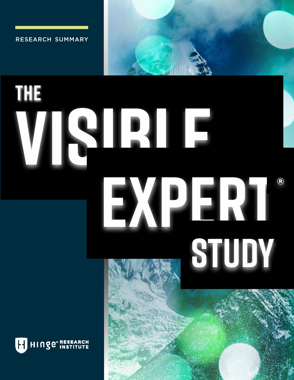 Hinger:可视性专家研究报告(英文版)