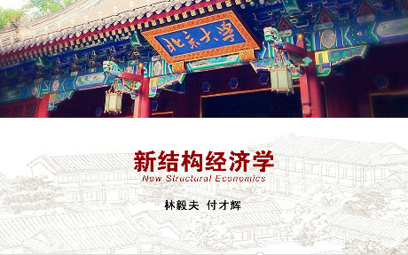 新结构经济学