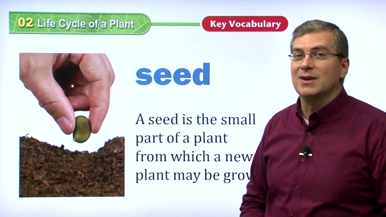 美国中小学精选课程【全600集】