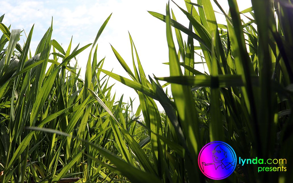 Photoshop CS6一对一基础知识培训课程