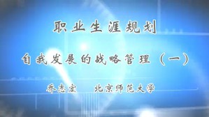 职业生涯规划--自我发展的战略管理