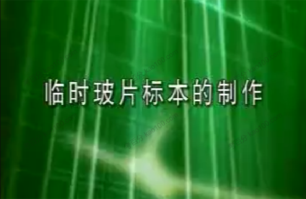 初中生物实验视频